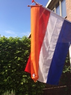 IMG_7981 IMG_7981