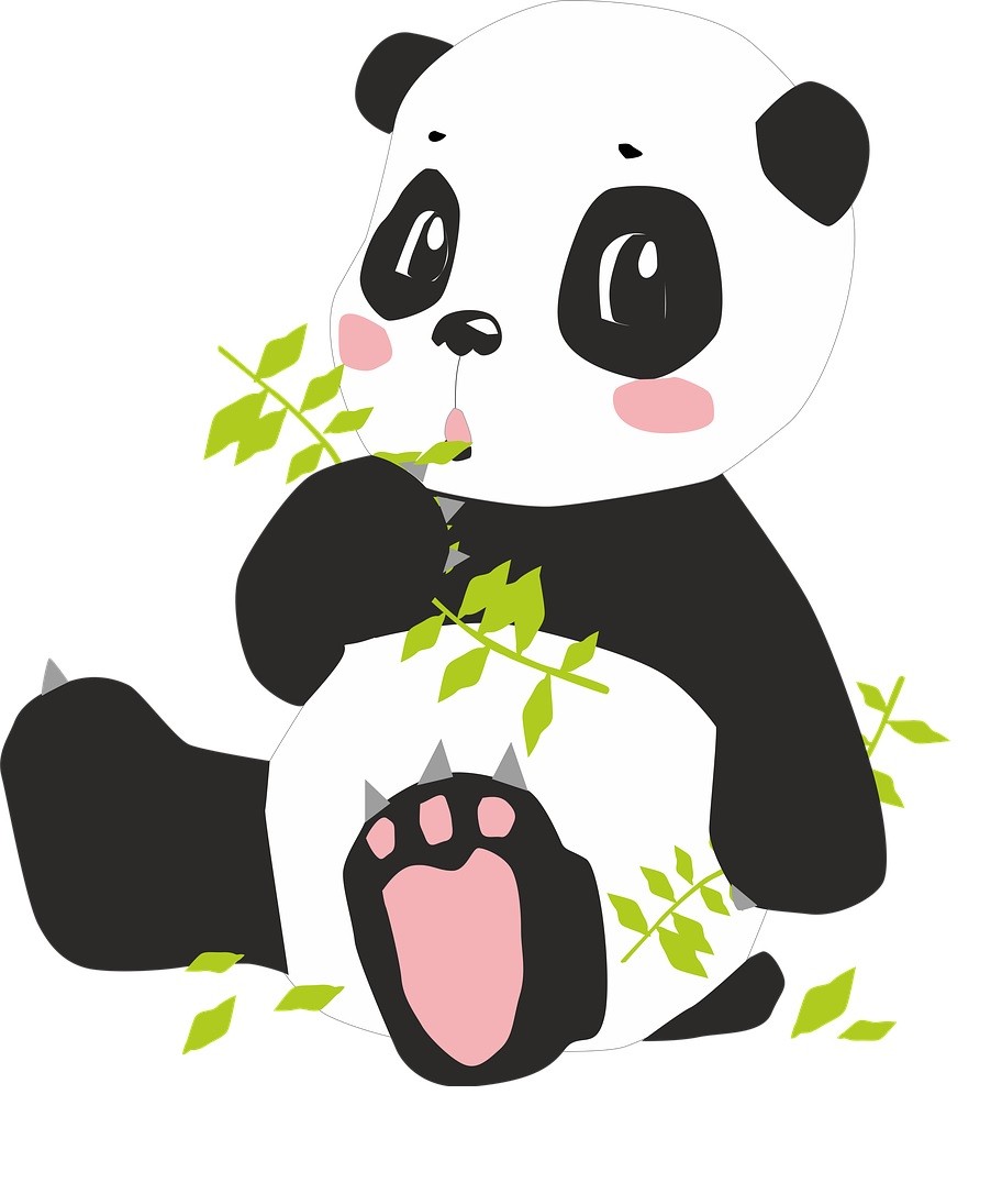 Panda 1 Panda 1